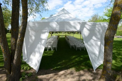 Feu d'artifice illuminant le ciel nocturne au-dessus d'arbres sombres dans un parc.