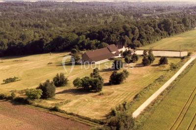 Plateaux de bouchées apéritives avec fromage, raisin, jambon et brochettes, accompagnés de verres de champagne en arrière…