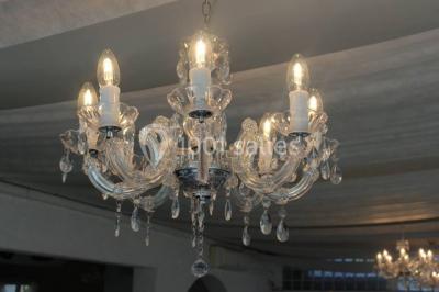 Bouées en forme de cygne et licorne flottant dans une piscine, avec des tentes blanches en arrière-plan.