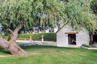 Couronne de fleurs blanches et roses suspendue à un arbre sous la lumière du soleil dans un jardin verdoyant.