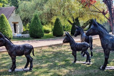 Couronne de fleurs blanches et roses suspendue à un arbre sous la lumière du soleil dans un jardin verdoyant.