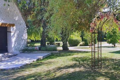 Couronne de fleurs blanches et roses suspendue à un arbre sous la lumière du soleil dans un jardin verdoyant.