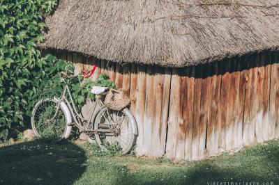 Couronne de fleurs blanches et roses suspendue à un arbre sous la lumière du soleil dans un jardin verdoyant.