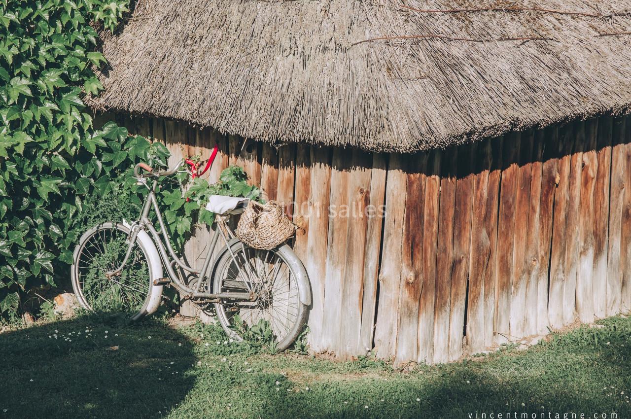 Un vélo ancien appuyé contre une cabane en bois avec un toit de chaume, entouré de verdure.