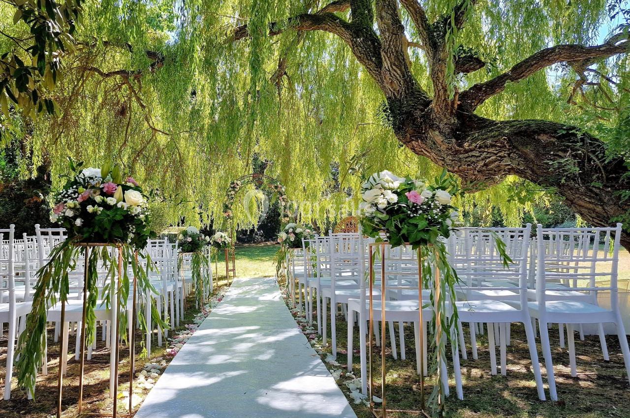 Allée centrale bordée de chaises blanches et de compositions florales sous un grand saule pleureur.