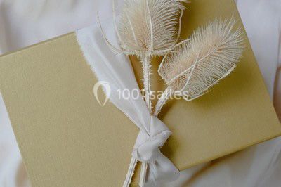 Photo Mademoiselle Gaillat Fée Pour Vous #1