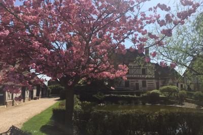 Salle de réception rustique avec poutres en bois apparentes, tables rondes dressées et chaises rouges.