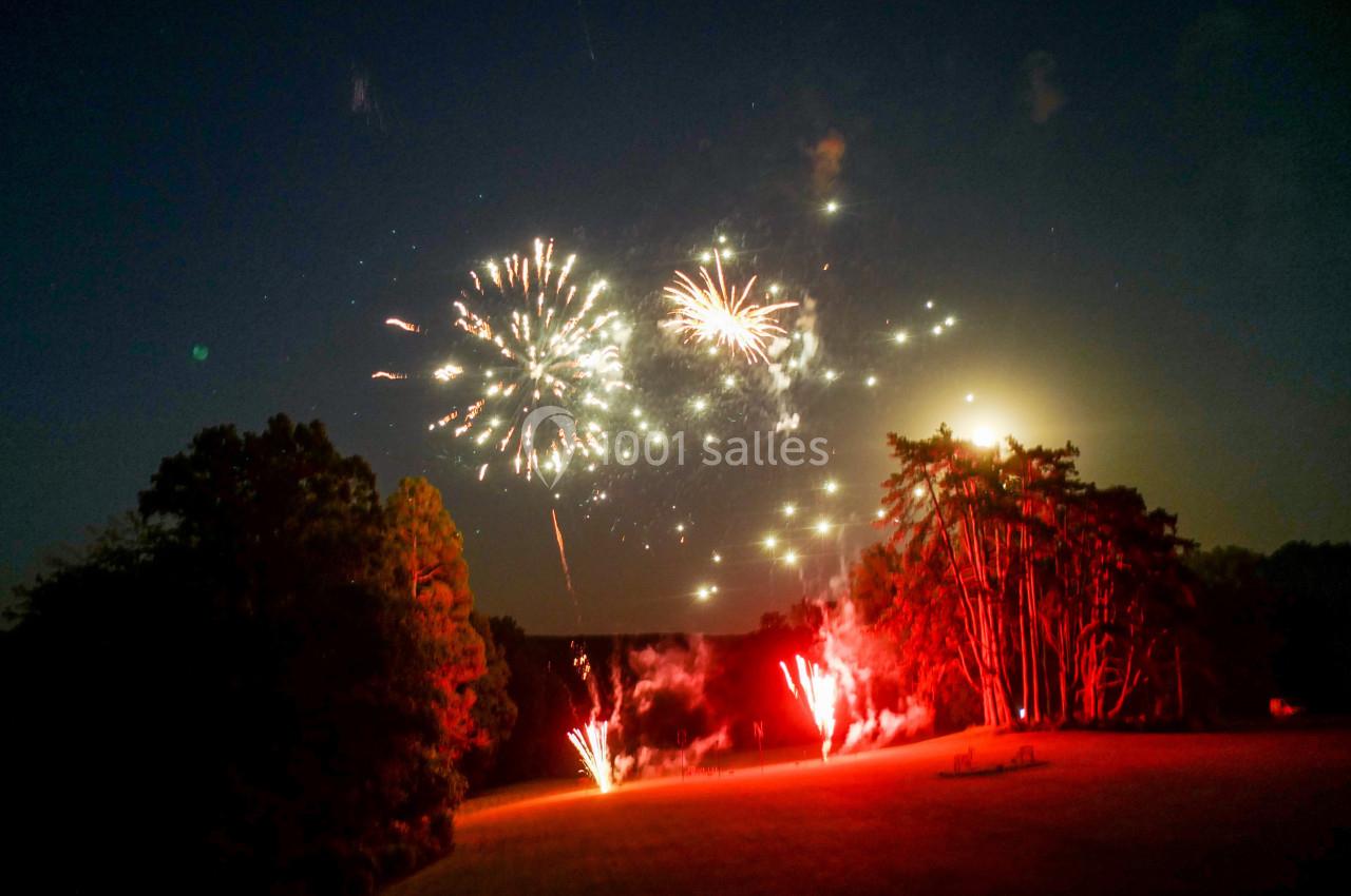 Feu d'artifice illuminant un ciel nocturne au-dessus d'une clairière entourée d'arbres.