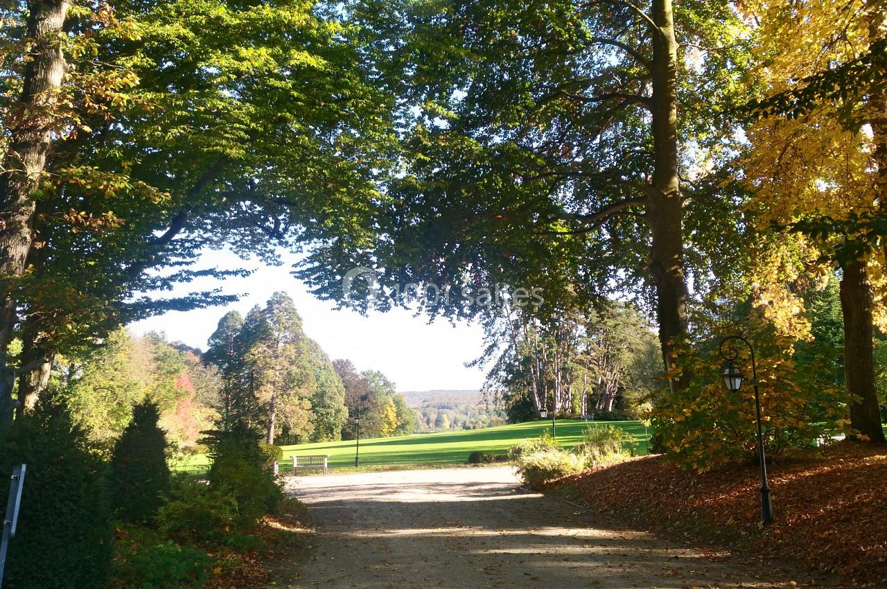 Allée bordée d'arbres aux couleurs automnales menant à une pelouse verdoyante sous un ciel dégagé.