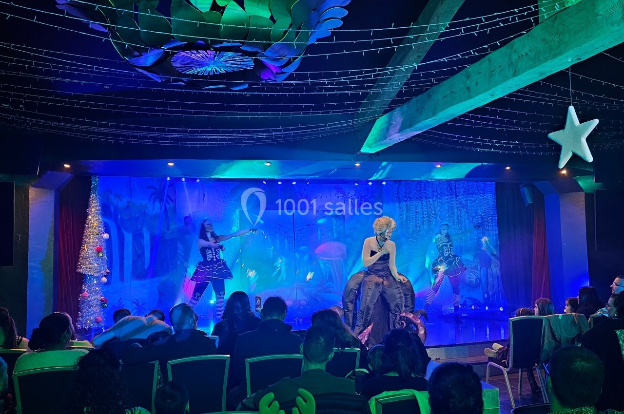 Spectacle sur scène avec danseuses en costumes, éclairages colorés et public assis dans une salle décorée pour les fêtes.