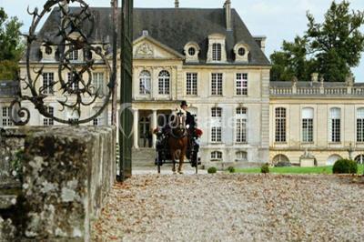 Location salle Versainville (Calvados) - Château de Versainville #13