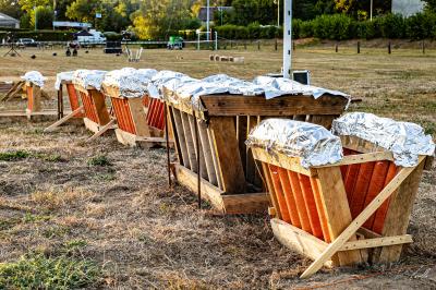 Miniature Odysseo Artifice #6 Photo Odysseo Artifice #16