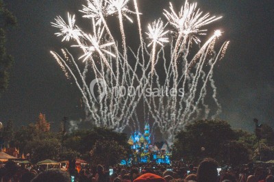 Mgpf Techni-spectacle - Pyrotechnie & Evenementiel