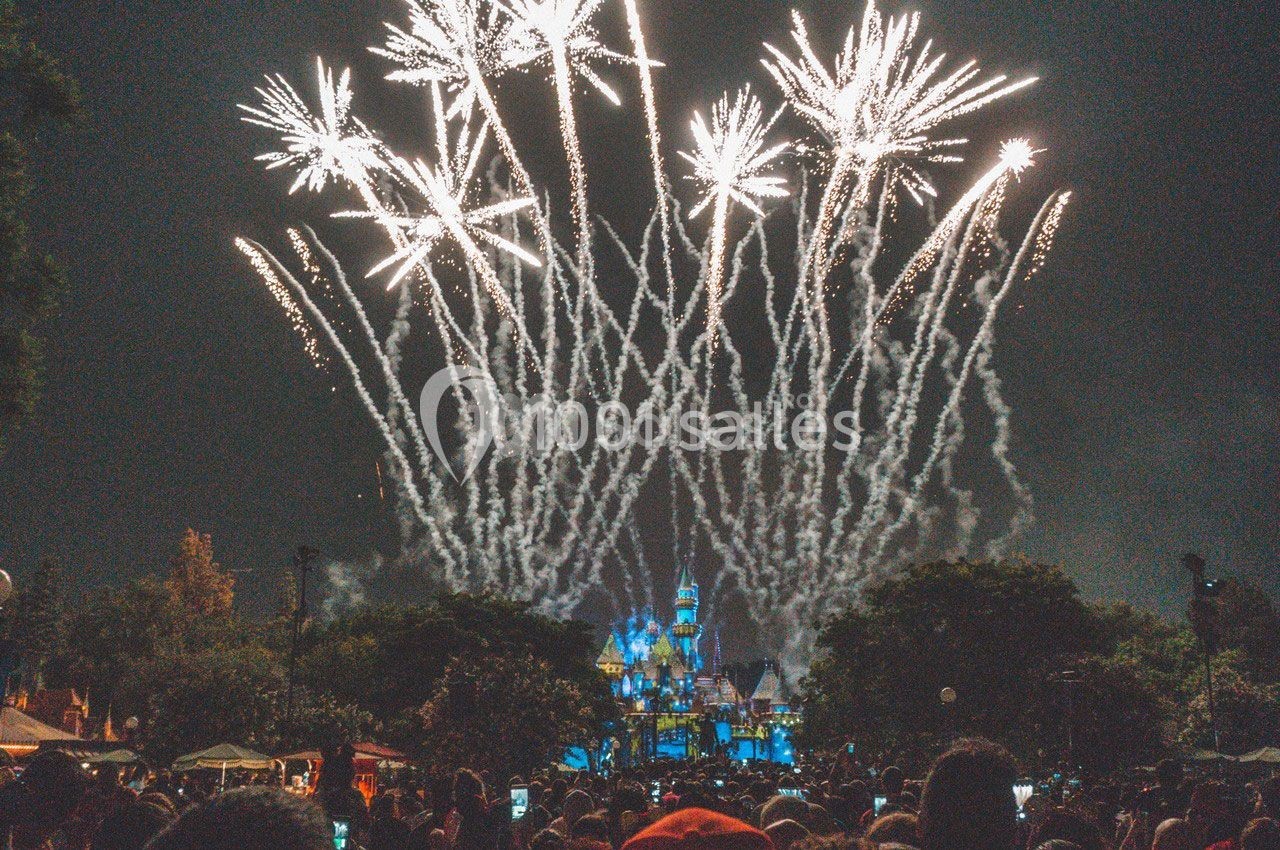 Spectacle de feux d'artifice illuminant le ciel nocturne au-dessus d'un château, avec une foule en contrebas.