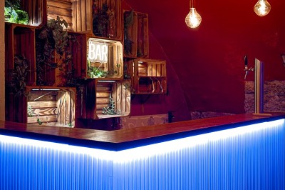 Comptoir lumineux dans une pièce voûtée en pierre, décoré de plantes, lampes et guirlandes lumineuses.