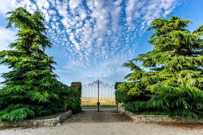 Champ de coquelicots rouges au premier plan avec un bâtiment en pierre et des toits en arrière-plan sous un ciel nuageux.