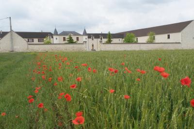 Champ de coquelicots rouges au premier plan avec un bâtiment en pierre et des toits en arrière-plan sous un ciel nuageux.