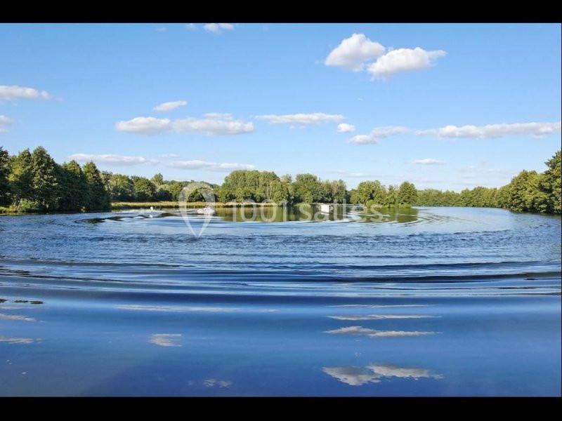 Vue d'un lac entouré d'arbres avec un ciel bleu et quelques nuages, des ondulations visibles à la surface de l'eau.