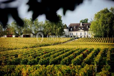 Miniature Location salle Cadaujac (Gironde) - Château Bouscaut #3 Location salle Cadaujac (Gironde) - Château Bouscaut #17