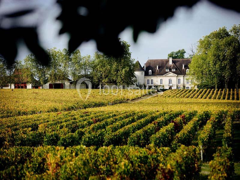 Location salle Cadaujac (Gironde) - Château Bouscaut #3