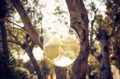 Location salle Beaucaire (Gard) - Le Parc Réception #19