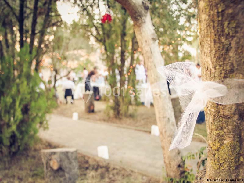 Location salle Beaucaire (Gard) - Le Parc Réception #16