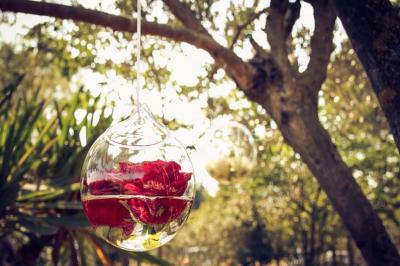 Location salle Beaucaire (Gard) - Le Parc Réception #19