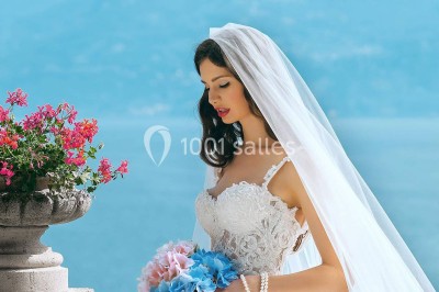 Morelle Mariage
