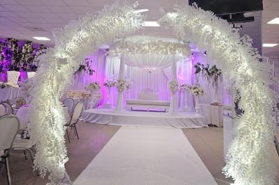 Verres de cocktails colorés garnis de fruits et de feuilles, disposés sur une table lors d'un événement en extérieur.