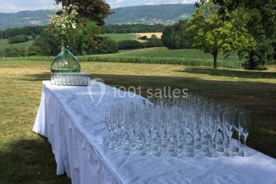 Location salle Domsure (Ain) - Domaine De La Rochère #24