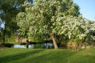 Location salle Domsure (Ain) - Domaine De La Rochère #24