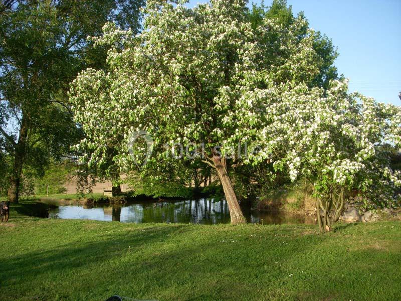 Location salle Domsure (Ain) - Domaine De La Rochère #22
