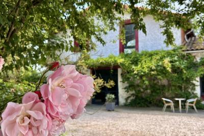 Terrasse en bois ombragée avec des tonneaux en guise de tables, surplombant un plan d'eau entouré de végétation.