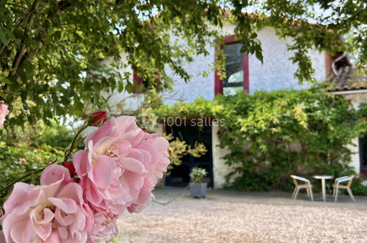 Fleurs roses en gros plan devant une maison entourée de verdure avec une cour en gravier et des chaises de jardin.