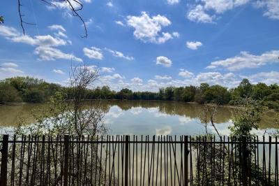 Terrasse en bois ombragée avec des tonneaux en guise de tables, surplombant un plan d'eau entouré de végétation.