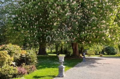 Location salle Tigeaux (Seine-et-Marne) - Le Manoir de Tigeaux #40