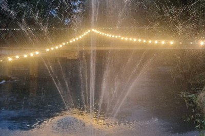 Miniature Location salle Tigeaux (Seine-et-Marne) - Le Manoir de Tigeaux #26 Des personnes souriantes posent avec des accessoires festifs et un cadre violet dans un jardin ensoleillé.