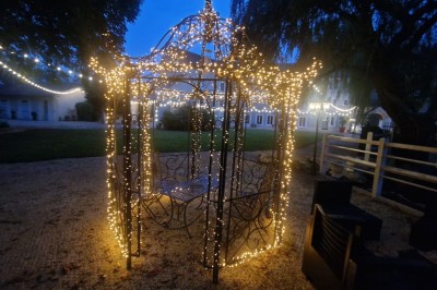 Miniature Location salle Tigeaux (Seine-et-Marne) - Le Manoir de Tigeaux #17 Des personnes souriantes posent avec des accessoires festifs et un cadre violet dans un jardin ensoleillé.