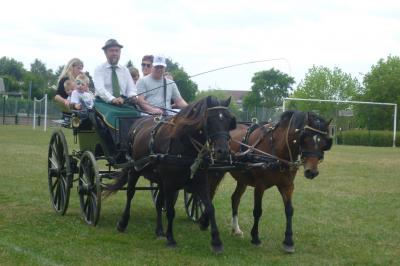 Miniature Mariage En Calèche - Nonette-cuirs #1 Photo Mariage En Calèche - Nonette-cuirs #6