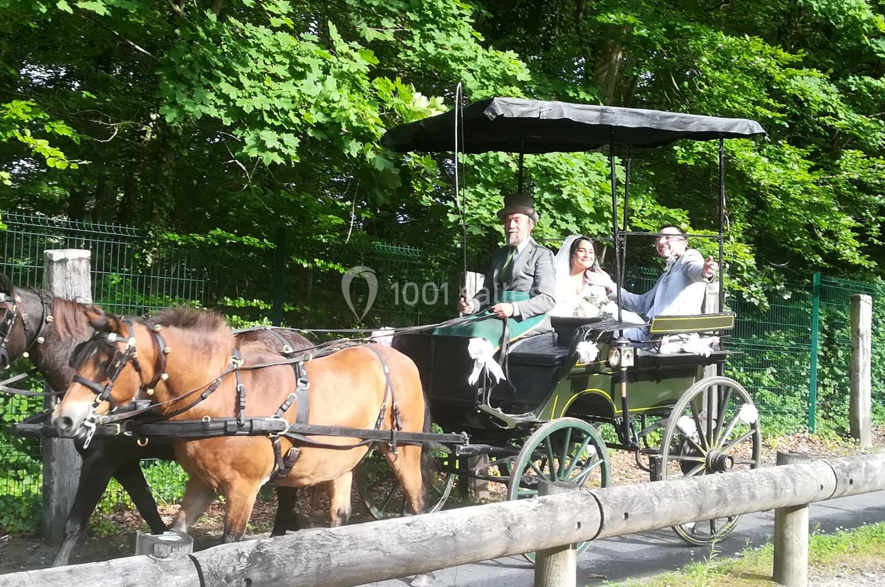Photo Mariage En Calèche - Nonette-cuirs #2
