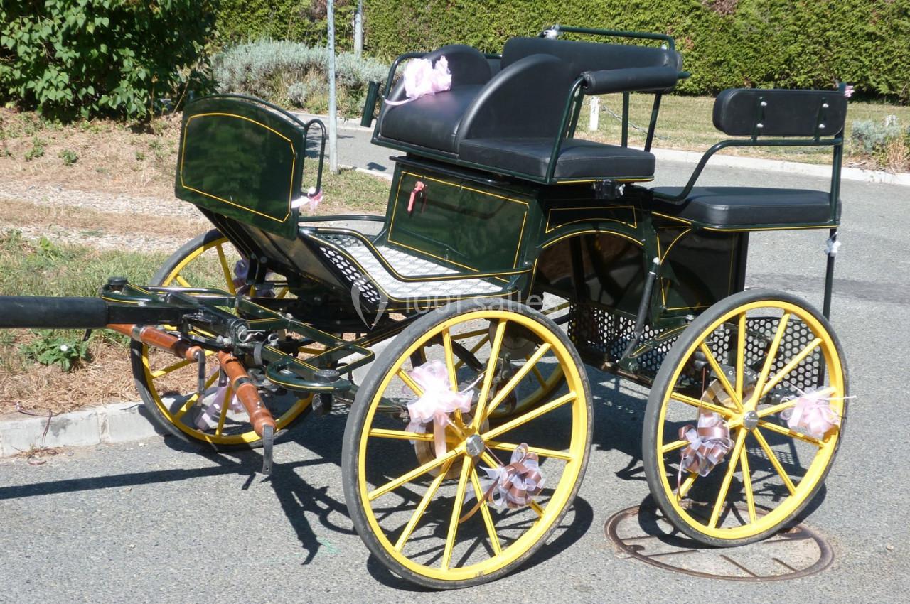 Photo Mariage En Calèche - Nonette-cuirs #3