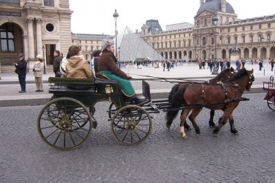 Miniature Mariage En Calèche - Nonette-cuirs #5 Photo Mariage En Calèche - Nonette-cuirs #6