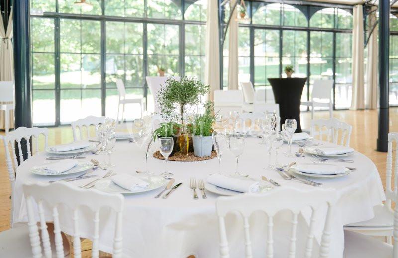 Location salle Saint-Pierre-de-Chandieu (Rhône) - Château de Rajat #22