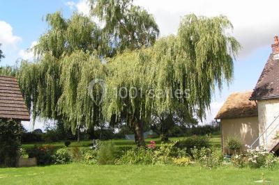 Location salle Aunou-sur-Orne (Orne) - Le Domaine De La Cour #23