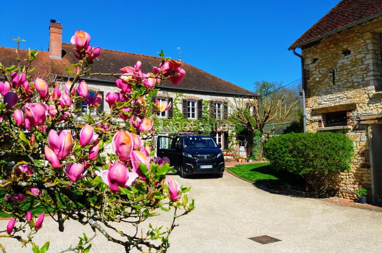 Magnolias en fleurs au premier plan, devant une maison en pierre avec toit en tuiles et une voiture garée dans la cour.