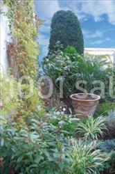 Location salle Aubervilliers (Seine-Saint-Denis) - Espace Roosevelt #14