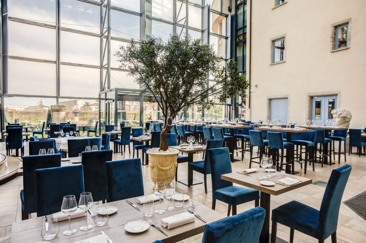 Salle de restaurant lumineuse avec de grandes baies vitrées, des tables dressées et un olivier en pot au centre.