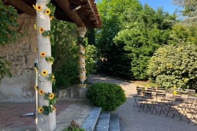 Troupeau de moutons paissant dans un champ verdoyant, avec des vignobles et un village en arrière-plan sous un ciel nuageux.