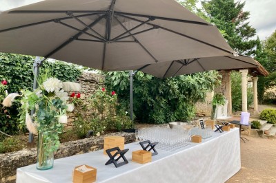 Troupeau de moutons paissant dans un champ verdoyant, avec des vignobles et un village en arrière-plan sous un ciel nuageux.