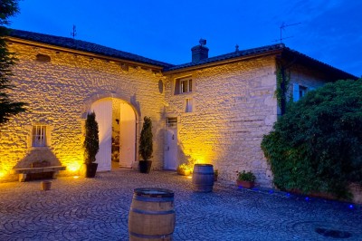 Troupeau de moutons paissant dans un champ verdoyant, avec des vignobles et un village en arrière-plan sous un ciel nuageux.